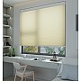 Warm Apricot Sunfiltering Honeycomb Blind