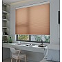 Yam Sunfiltering Honeycomb Blind