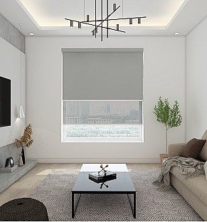 Blackout Grey/Screen Grey - Double Roller Blind