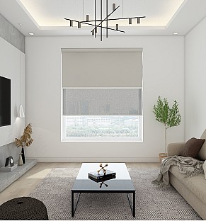 Blackout Misty/Screen Pebble - Double Roller Blind